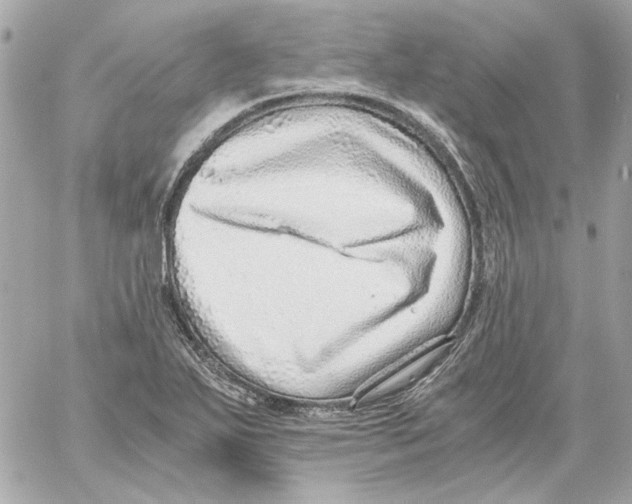 X0000059091271200511041838