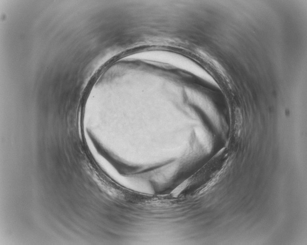 X0000059091272200511041838