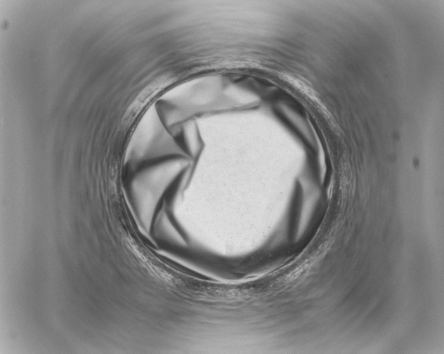 X0000059091273200511041838