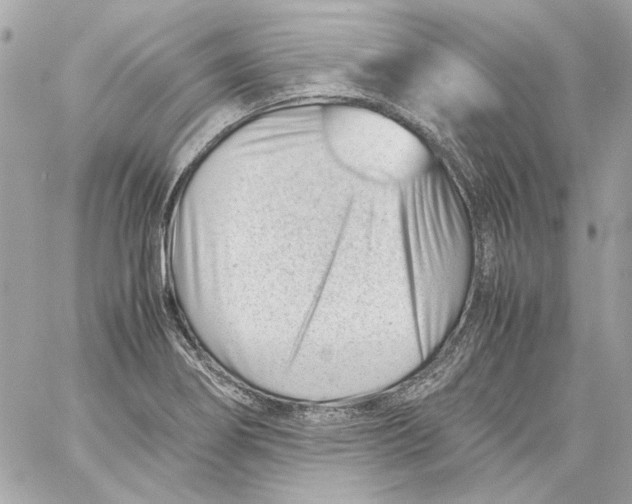 X0000059091274200511041838