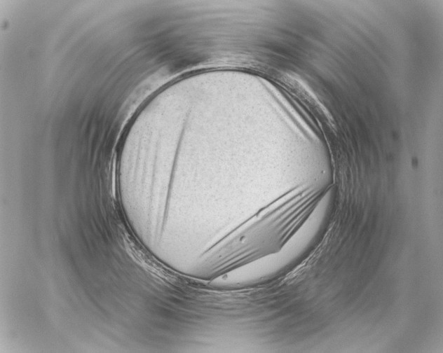 X0000059091276200511041838