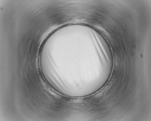 X0000059091278200511041838