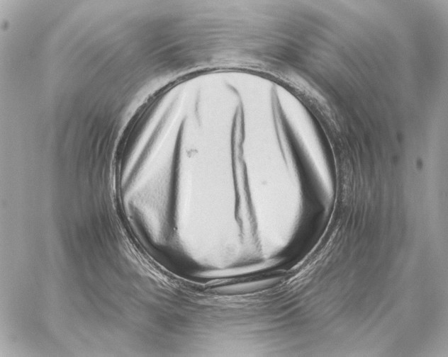 X0000059091280200511041838