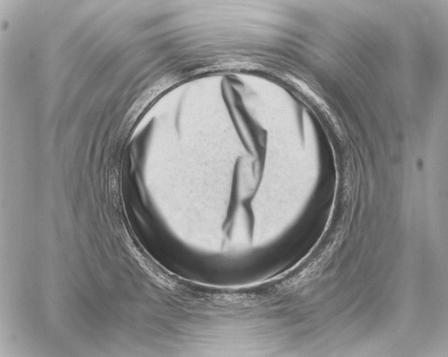X0000059091281200511041838
