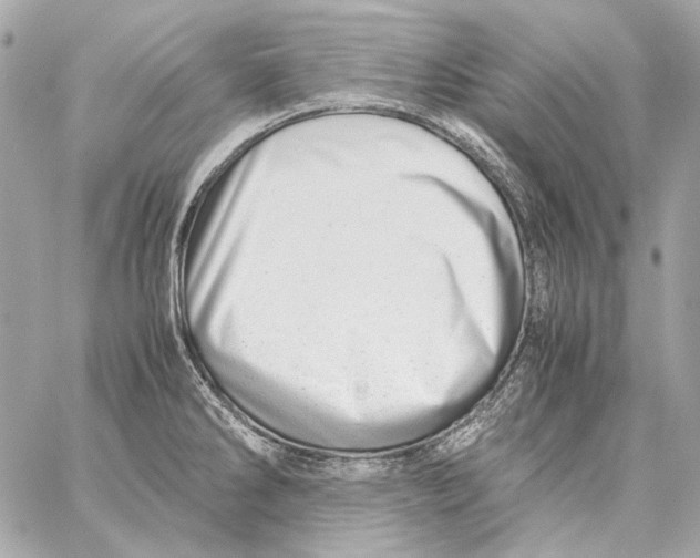 X0000059091286200511041838