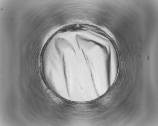 X0000059091287200511041838