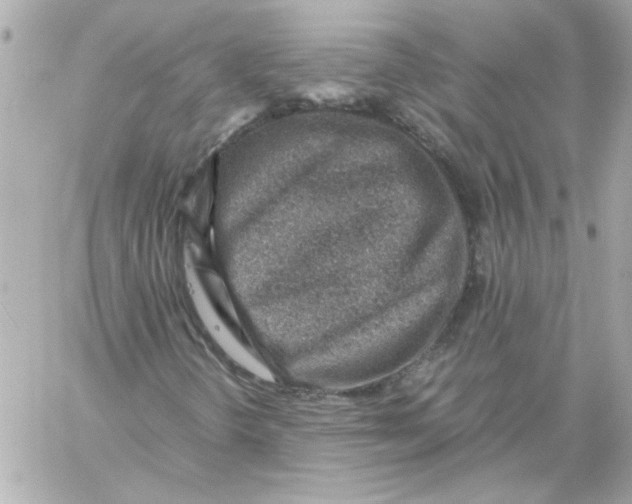 X0000059091298200511041837