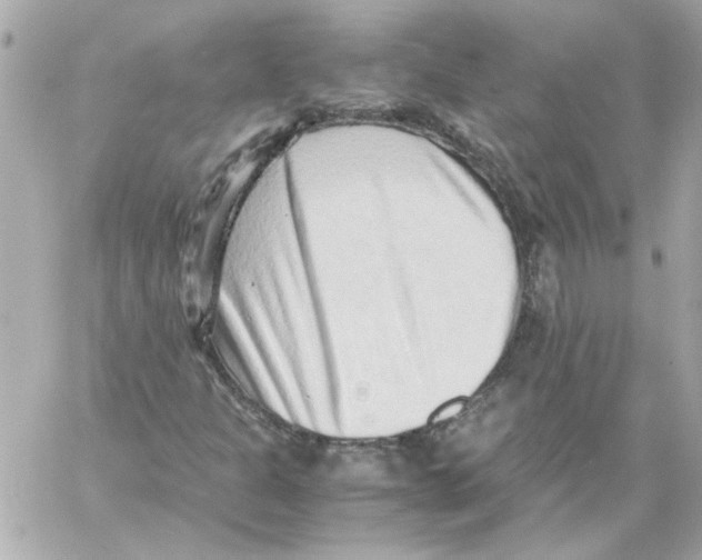 X0000059091301200511041837