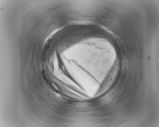 X0000059091306200511041837