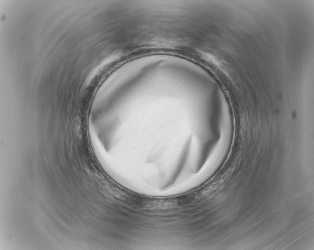 X0000059091307200511041837