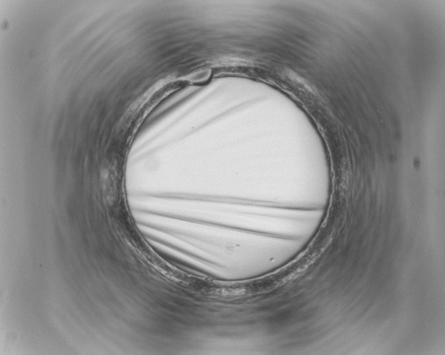 X0000059091313200511041837