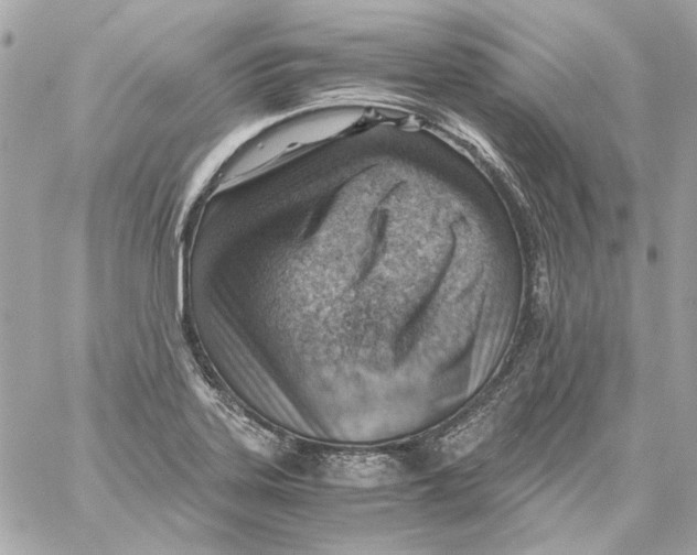 X0000059091323200511041837