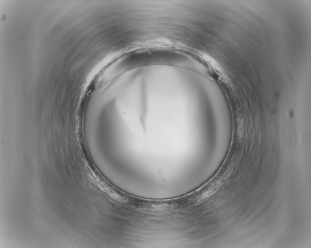 X0000059091326200511041837