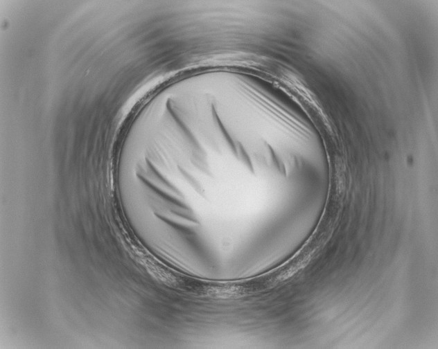 X0000059091328200511041837