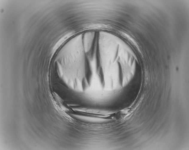 X0000059091330200511041837