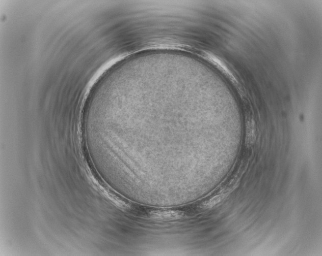 X0000059091331200511041837
