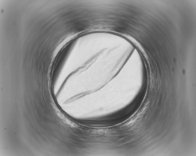 X0000059091341200511041837