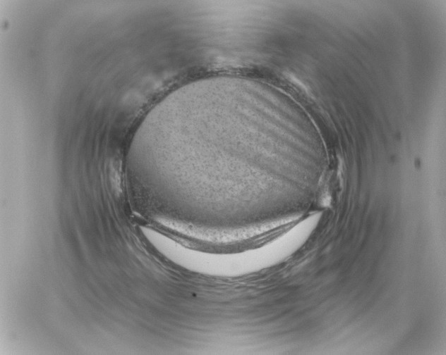 X0000059091348200511041837