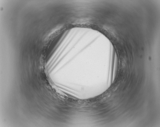 X0000059091350200511041837