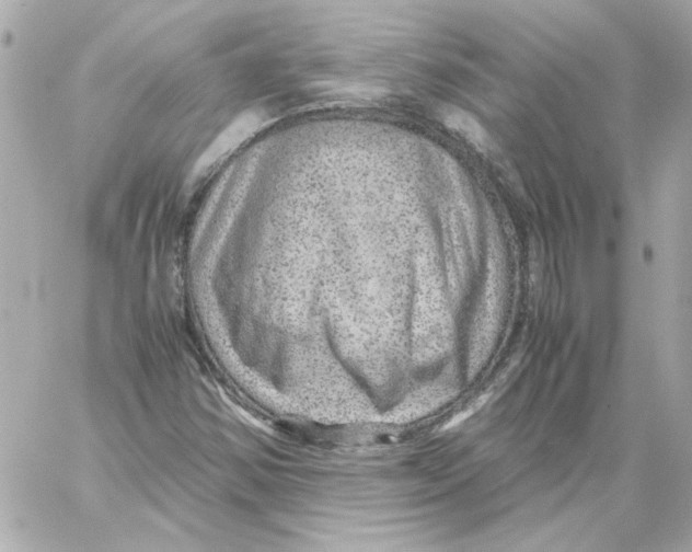 X0000059091354200511041836