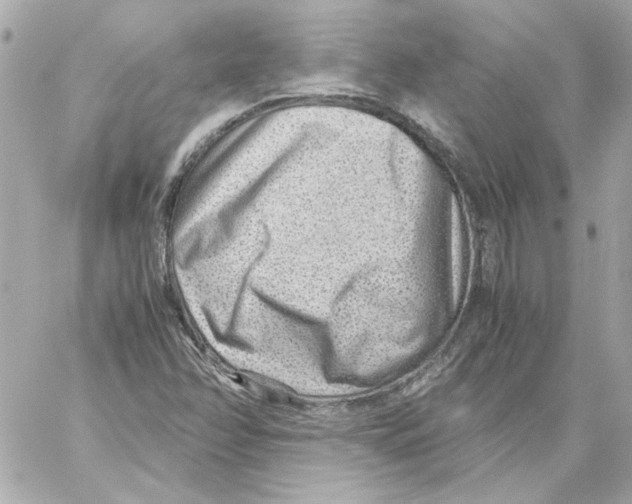 X0000059091358200511041836