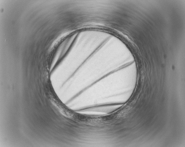 X0000059091363200511041836