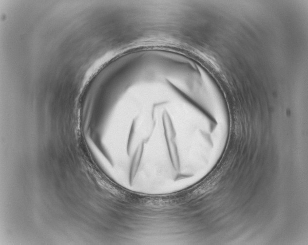 X0000059091366200511041836