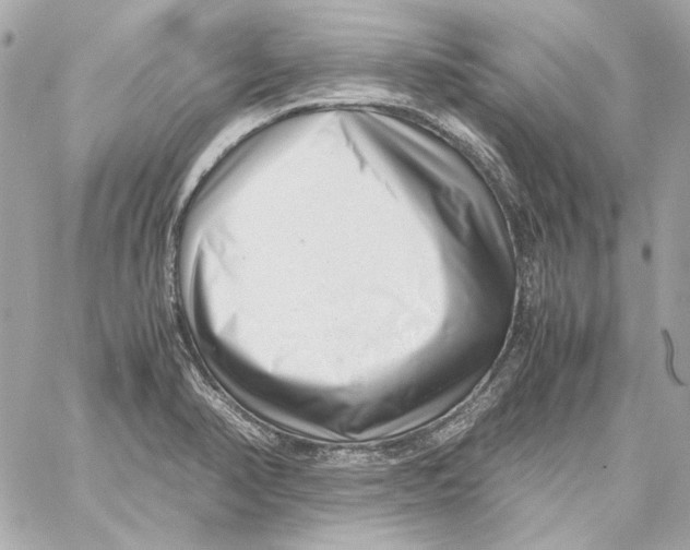 X0000059091374200511041836