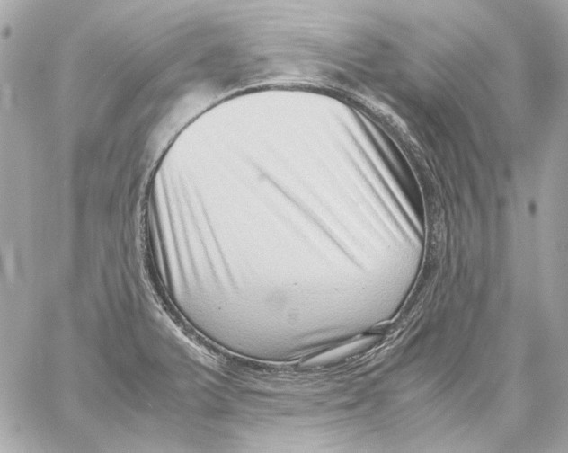 X0000059091375200511041836