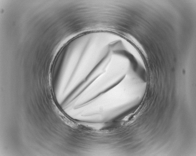 X0000059091388200511041836