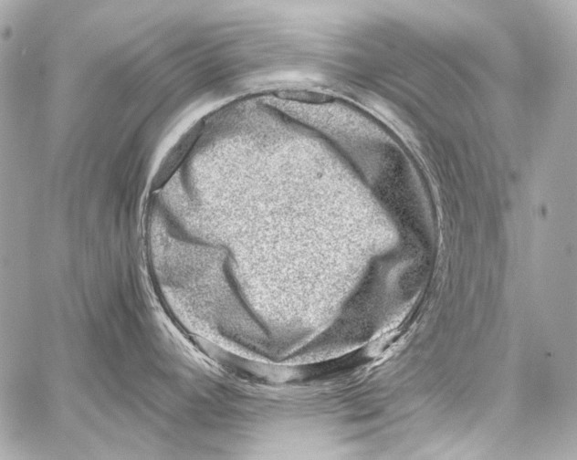 X0000059091392200511041836
