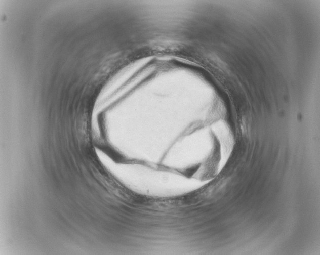 X0000059091396200511041835