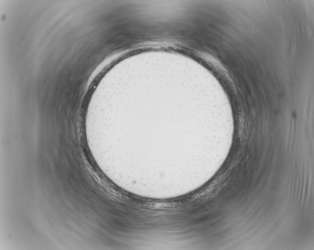 X0000059091412200511041835