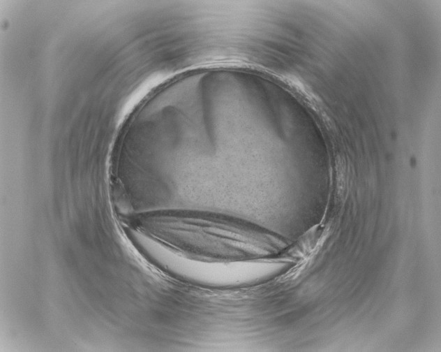 X0000059091422200511041835