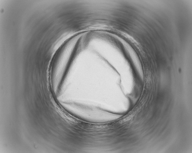 X0000059091423200511041835