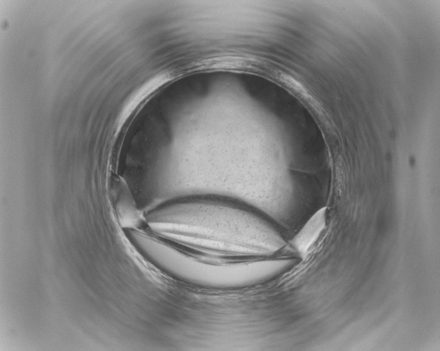 X0000059091426200511041835