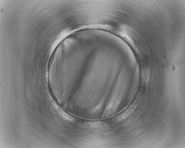 X0000059091428200511041836