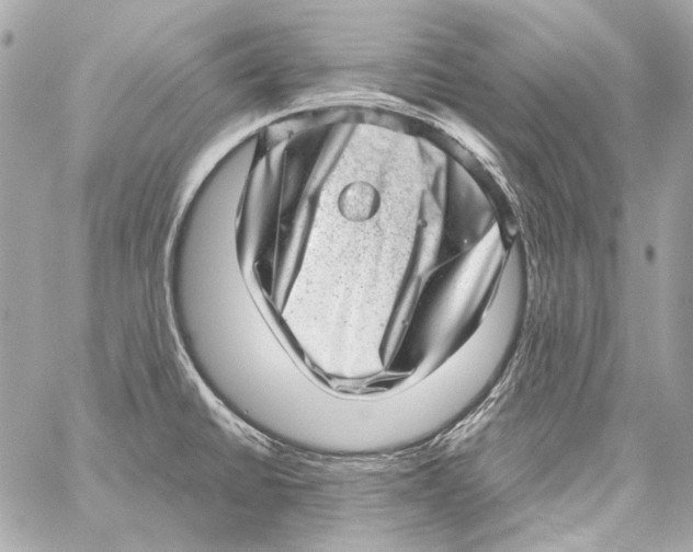 X0000059091430200511041836
