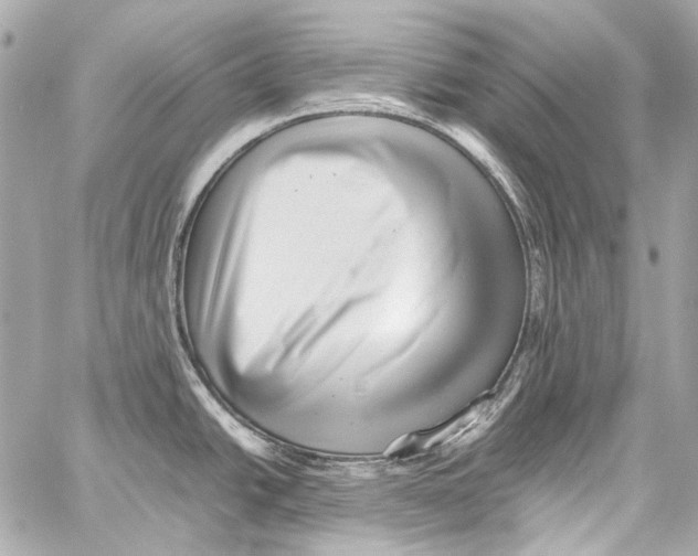X0000059091438200511041836