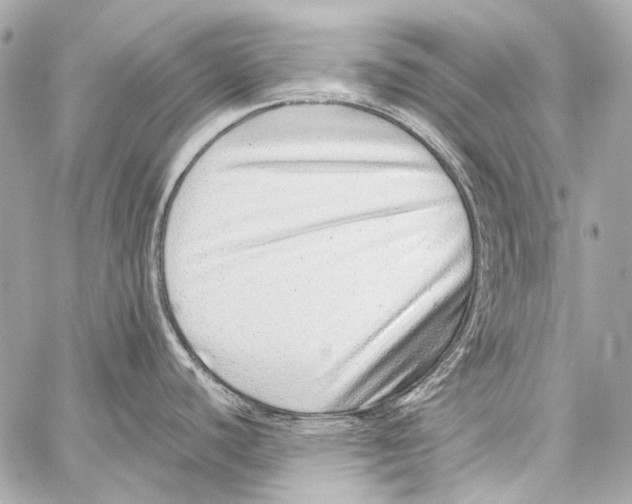 X0000059091440200511041836