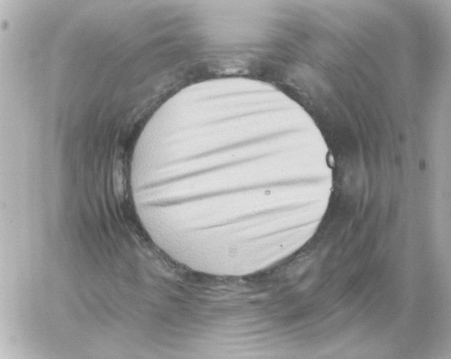 X0000059091442200511041835