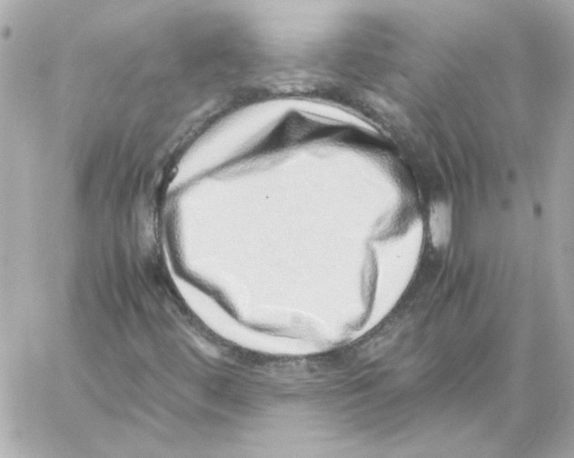 X0000059091444200511041835