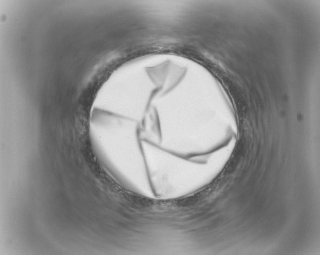 X0000059091447200511041835
