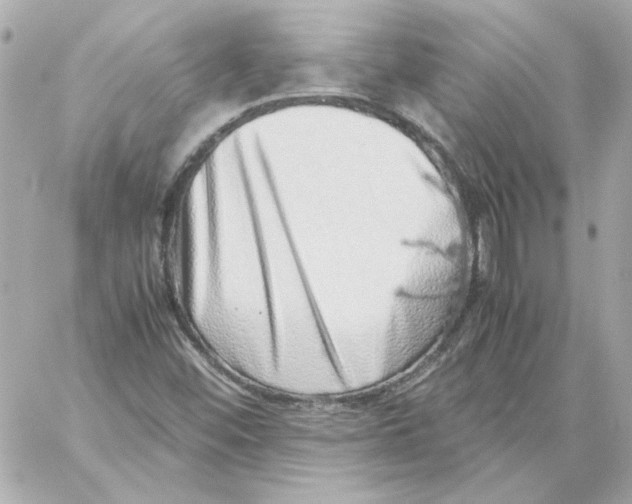 X0000059091452200511041835