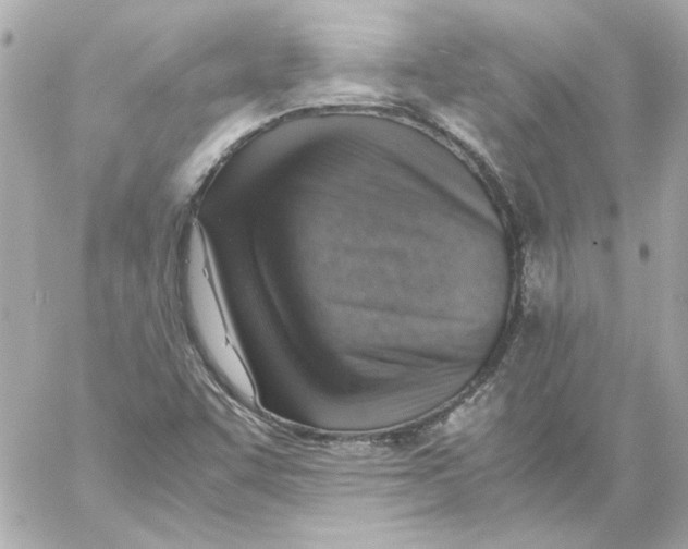 X0000059091455200511041835