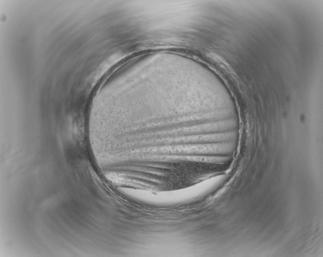 X0000059091457200511041835