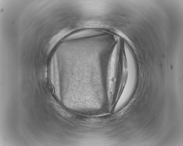 X0000059091461200511041835
