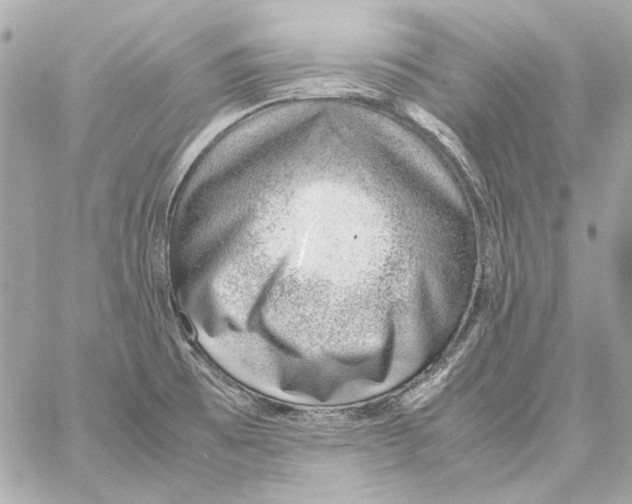 X0000059091473200511041834