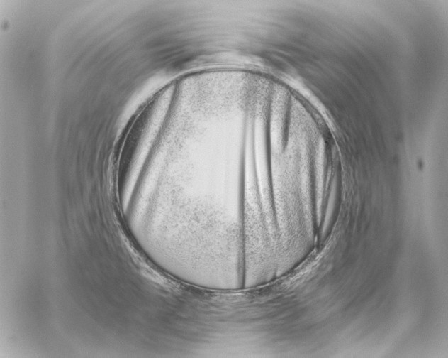 X0000059091477200511041834