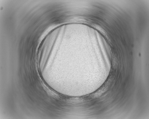 X0000059091478200511041834